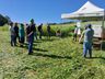 Dia de campo reúne cerca de 30 agricultores em Bandeirante