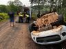 Mulher fica ferida em capotamento no interior de São Miguel do Oeste 