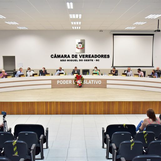 Vereadores rejeitam nova Lei Orgânica e proposta é arquivada