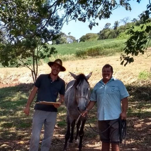 Grupo de criadores de Cavalo Campeiro realizam encontro em Tunápolis 