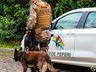 Homem é preso por tráfico de drogas em São Miguel do Oeste