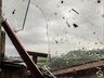 Confira algumas imagens após passagem de tornado em Descanso