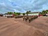 Solenidade marca entrega da boina preta a 200 jovens no 14º Regimento de Cavalaria Mecanizado