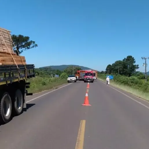 Carro sai de pista, bate em colmeia e pessoas são atacadas por abelhas
