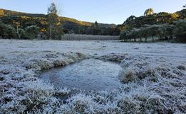  SC tem 47 cidades com temperaturas negativas no segundo dia de onda de frio intenso