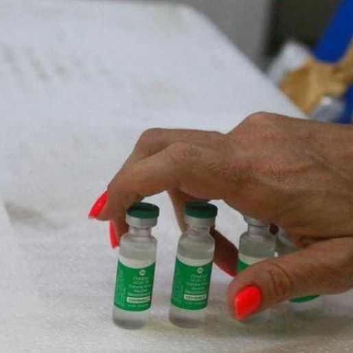 SC vai receber mais 218 mil doses da vacina nesta quinta-feira