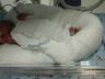 Família de São Bernardino pede ajuda para tratamento da filha com doença rara 