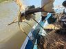 Polícia Militar Ambiental registra redução na pesca predatória durante a piracema