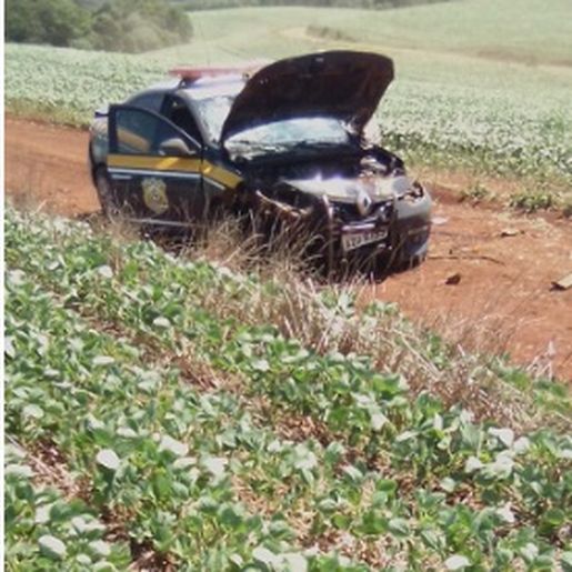 Polícia realiza grande operação após condutor de veículo fugir de abordagem