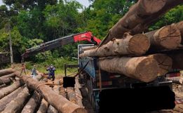 Trabalhador morre esmagado por tora de madeira durante descarregamento em Cunha Porã