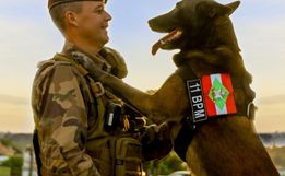 Depois de oito anos de serviços prestados, o cão de faro Axel, foi aposentado