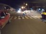 Menor conduzindo carro se envolve em acidente