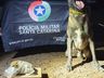 Jovem casal é preso com drogas em operação da PM em Dionísio Cerqueira