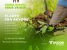 Barra Bonita realiza o plantio de 400 árvores em área próxima do centro