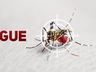 Demora do diagnóstico da dengue atrasa ações preventivas