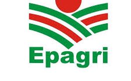 Governo autoriza contratação de 161 candidatos aprovados em concurso da Epagri