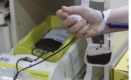 Doações de sangue caem 40% no Hemosc de Chapecó