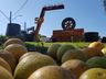 Com grandes atrações, inicia hoje a 18ª Festa da Fruta em Mondaí