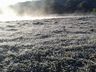 Extremo Oeste deve ter geada negra e temperatura de -5ºC neste final de semana