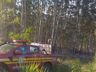 Incêndio consome pastagem e reflorestamento em Itapiranga
