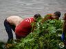 VÍDEO: Homem de origem Haitiana morre afogado no Rio das Antas 