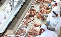 Embarques de carnes de agroindústrias de SC para Rússia e Ucrânia estão paralisados