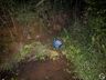 Condutor e ocupantes envolvidos em acidente com morte na BR-282 se evadiram do local