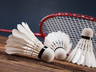Pelo JESC 2022, Secretaria de Esportes realiza jogos de badminton