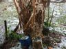 Chuva de granizo atinge interior de Campo Erê e São Bernardino 