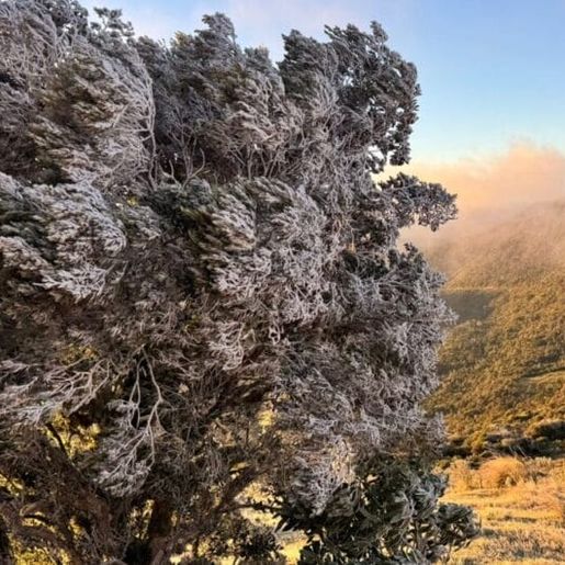  Com recorde de frio, cidade mais fria do Brasil “congela” e registra sensação térmica de -29°C