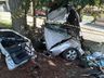 Motorista colide veículo em árvore após tentar fugir de abordagem policial