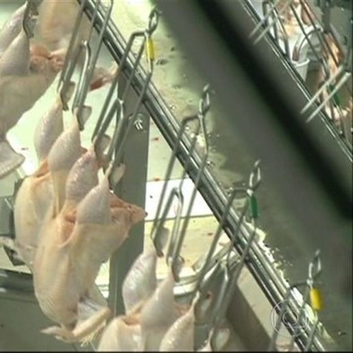 Hong Kong libera importação de frango de frigorífico da Aurora em Xaxim