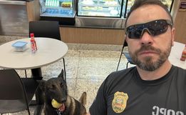 Novo cão de faro é escolhido para reforçar o combate ao tráfico em SMO 
