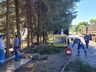 Urbanismo divulga cronograma de recolha e trituração de galhos em São Miguel do Oeste