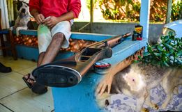 SMO: PM faz buscas em casa de homem suspeito de atirar em cachorro