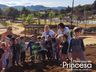 Alunos plantam araucária no Dia Mundial do Meio Ambiente