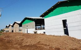 Família amplia produção de Suínos em SJCedro