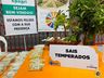  Programa “Saúde na comunidade, na cidade também tem” é realizado em Itapiranga