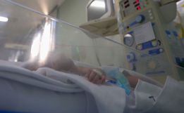 SC lidera ranking de segurança hospitalar e reforça cuidados com recém-nascidos