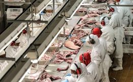 China suspende importação de carne suína de frigorífico de Santa Catarina