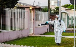 São Miguel do Oeste tem 124 casos de dengue