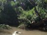 Veículo com três pessoas cai no Rio Uruguai