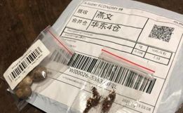 Quem foi o primeiro catarinense a receber sementes da China