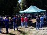 Cooperalfa promove campo tecnológico de pastagens de verão em SJCedro