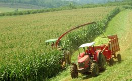 Epagri  destaca importância da análise de solo para uma boa produção de silagem
