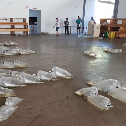 Aquita retoma parceria com a prefeitura para pedidos de alevinos