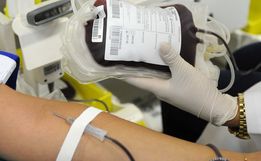 Hemosc está com maioria das tipagens com estoque adequado