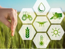 Região possui grande demanda por cursos de capacitação agrícola