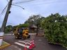 São José do Cedro revitaliza passeio lateral da praça José João Grando