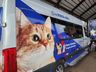 ONG Patinhas do Bem realiza campanha de castração com mais de 160 animais